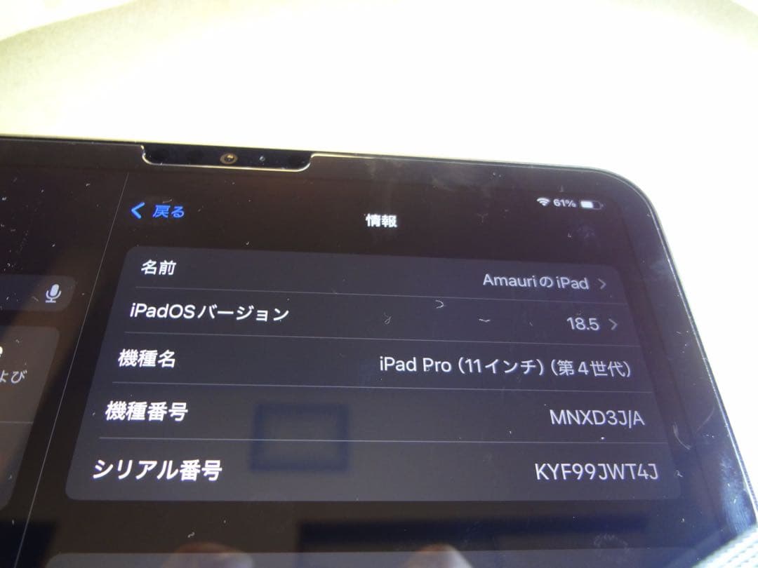 iPad Pro 11インチ 第4世代 Wi-Fi 128GB シルバー 超美品