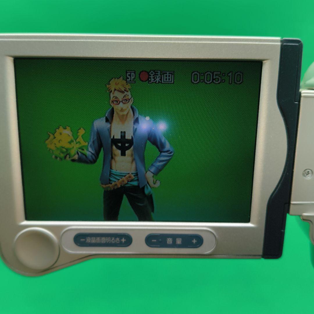 SONY ソニー Handycam DCR-TRV30 Mini DV