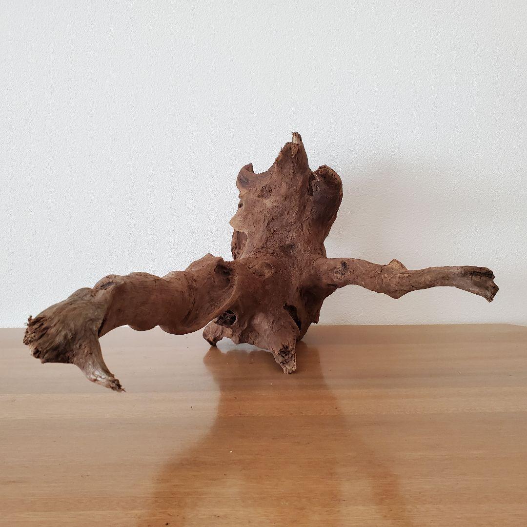 【353】流木　インテリアや爬虫類などに　止まり木　アクアリウム