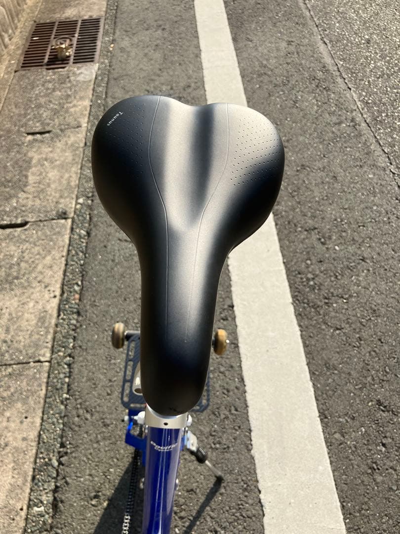 Pacific Carryme折りたたみ自転車カーボンパーツカスタムキャリーミー