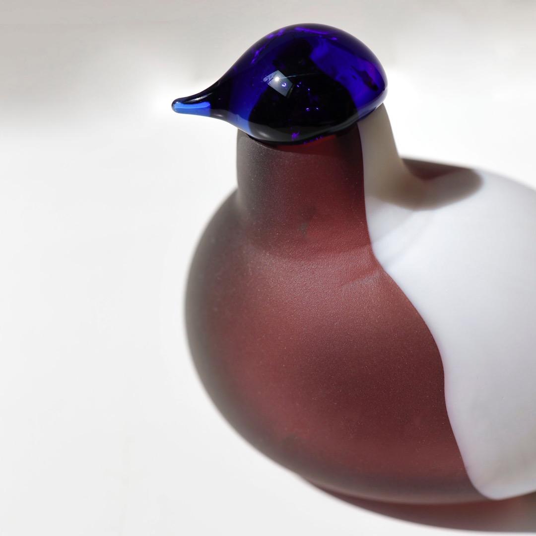 Purple Finch オイバトイッカ　イッタラ　バード　oiva