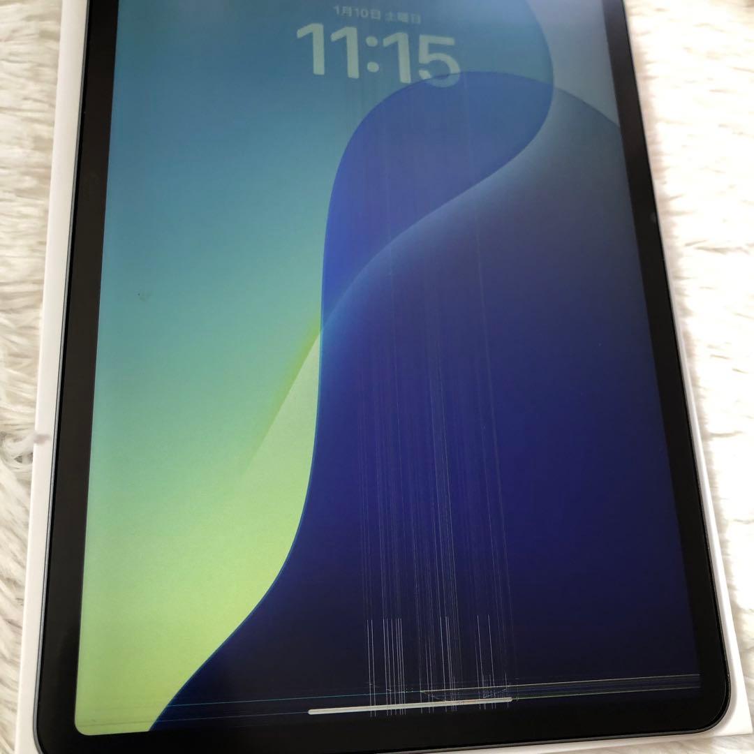 【早い者勝ち】iPad Pro 11インチ 256GB SIMフリー 【即発送】