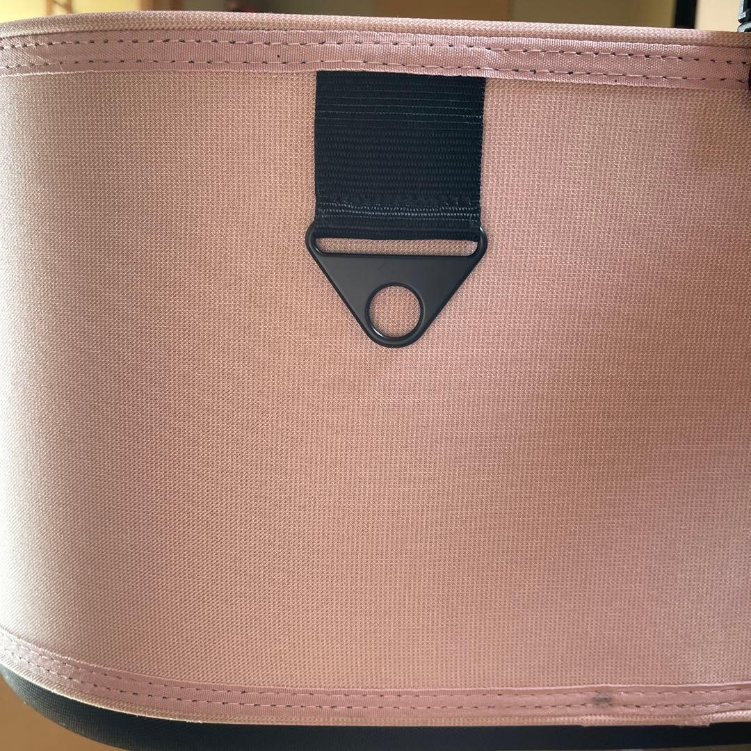 専用ご確認　AIRBUGGY ドーム3ラージ　ブロッサム　セット販売