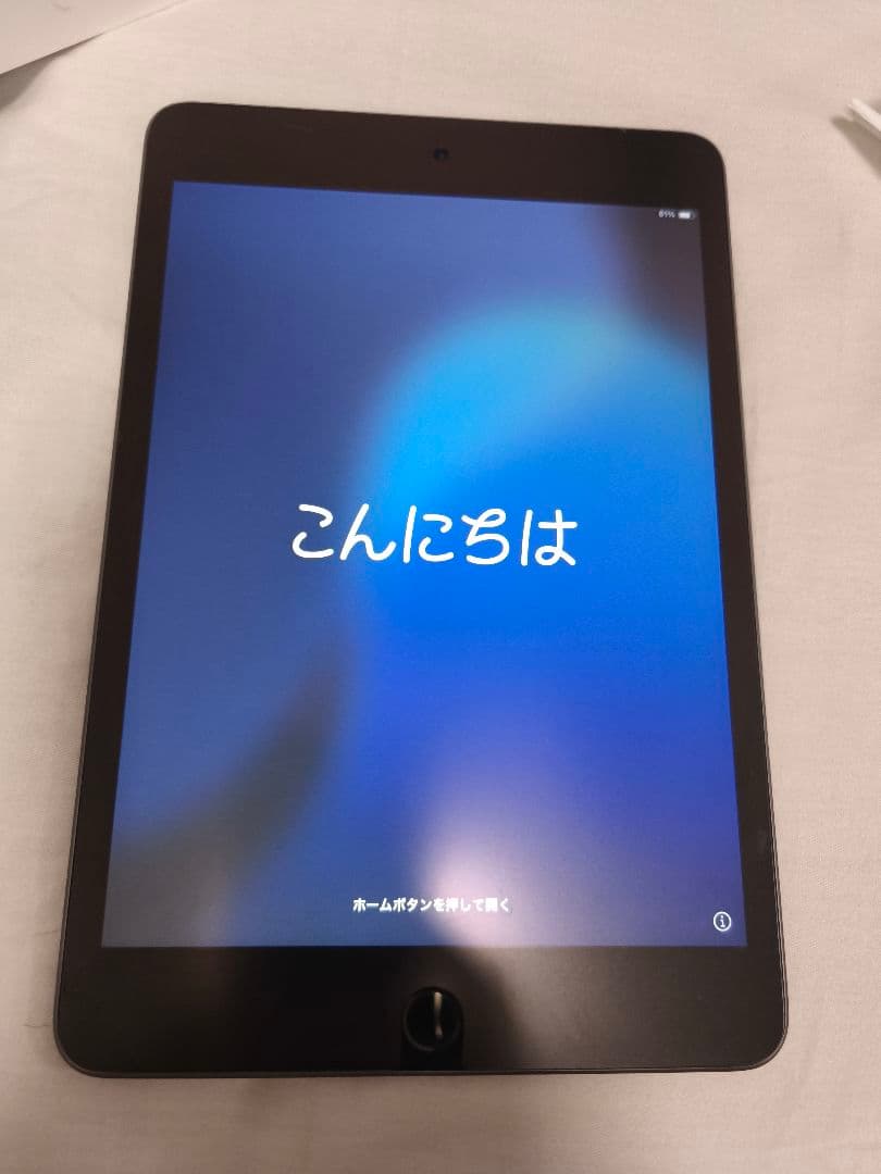 Apple iPad mini（第５世代）本体64GB スペースグレー