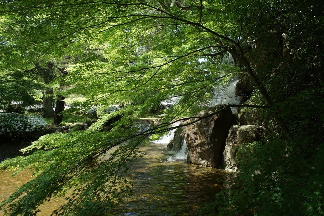 作例付き　OLYMPUS AUTO W 28mm F3.5 管mpr