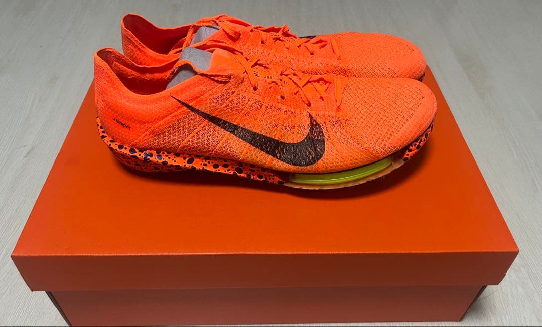 ナイキ ビクトリー 2 26.0