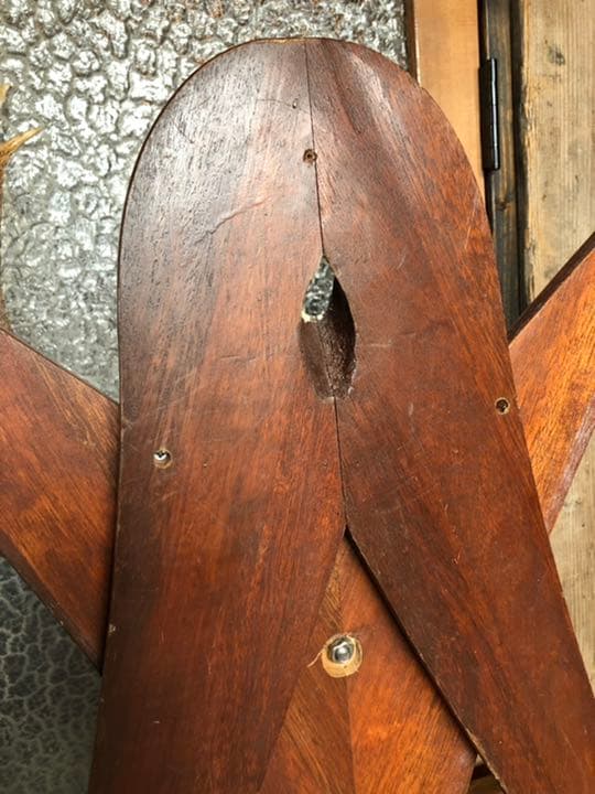 引取限定 鹿角 頭蓋骨 日本鹿 本土鹿 ハンティングトロフィー ウォールオブジェ