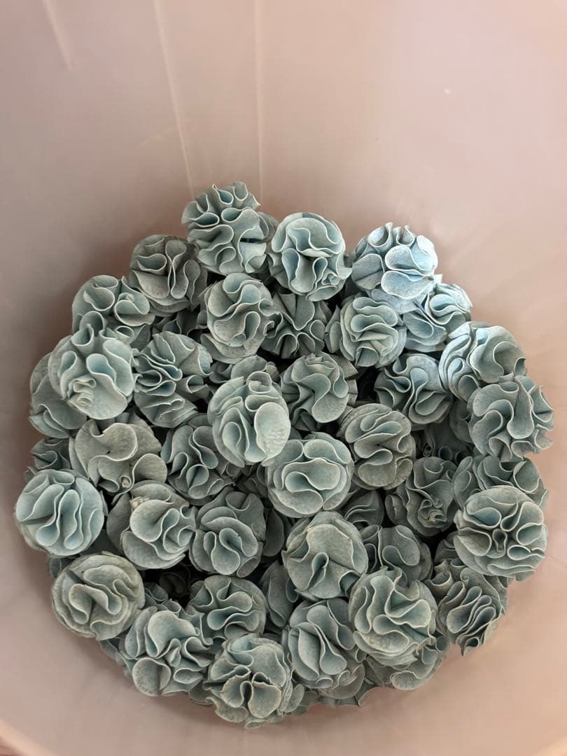 EHEIM 2213 外部フィルター　ガラスパイプ　ホースブラシ