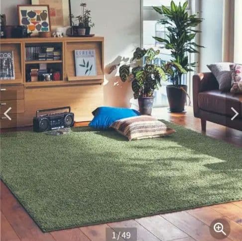 掃除を重視する方へ！自宅で洗濯で防ダニ仕様でグリーン約１９０×１９０（四角）