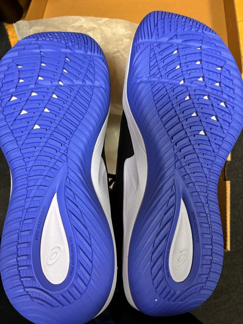 ノヴァサージロー2