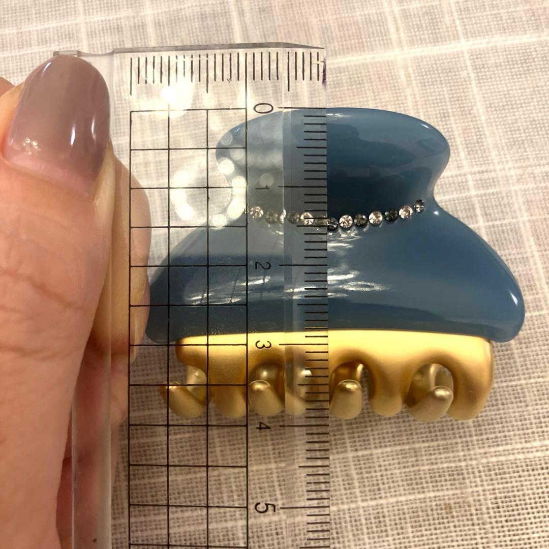 アレクサンドルズアリ(ALEXANDRE ZOUARI) ブルー　ヘアクリップ