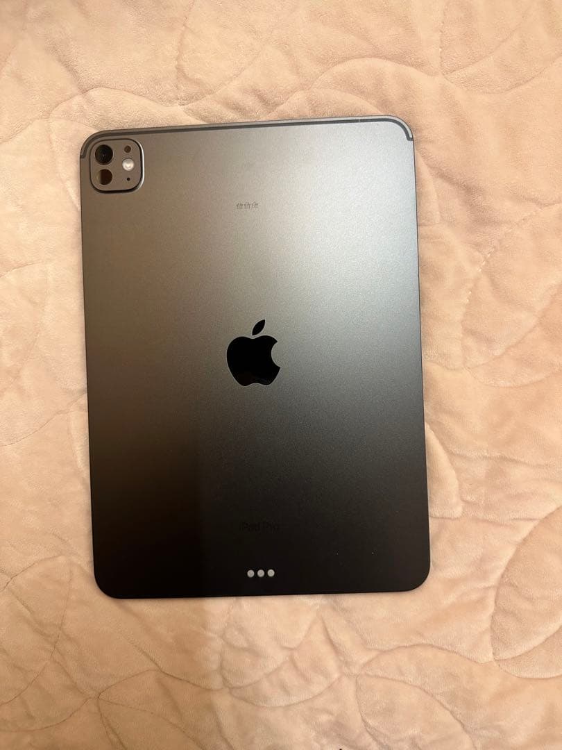 11インチ iPad Pro M4 256GB Wi-Fi