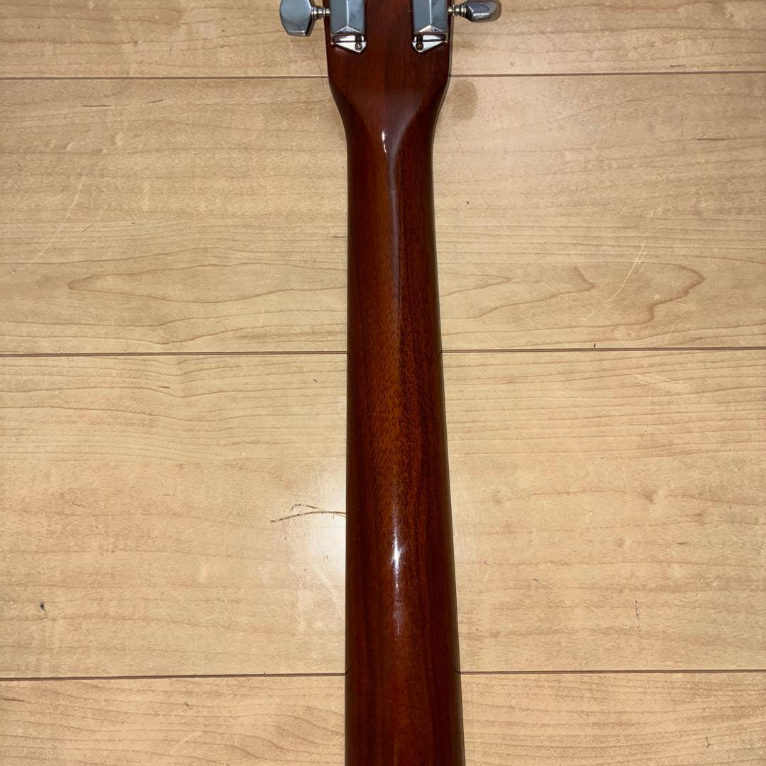 激レア　ZENON 全音　アコースティックギター　ハミングバードタイプ