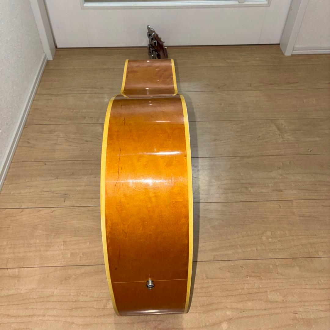 激レア　ZENON 全音　アコースティックギター　ハミングバードタイプ