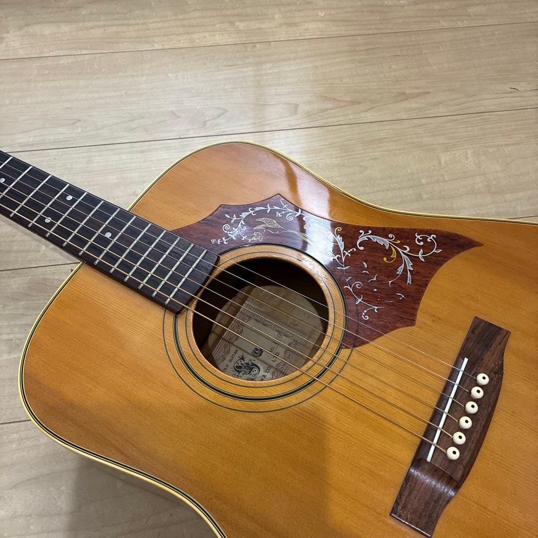 激レア　ZENON 全音　アコースティックギター　ハミングバードタイプ