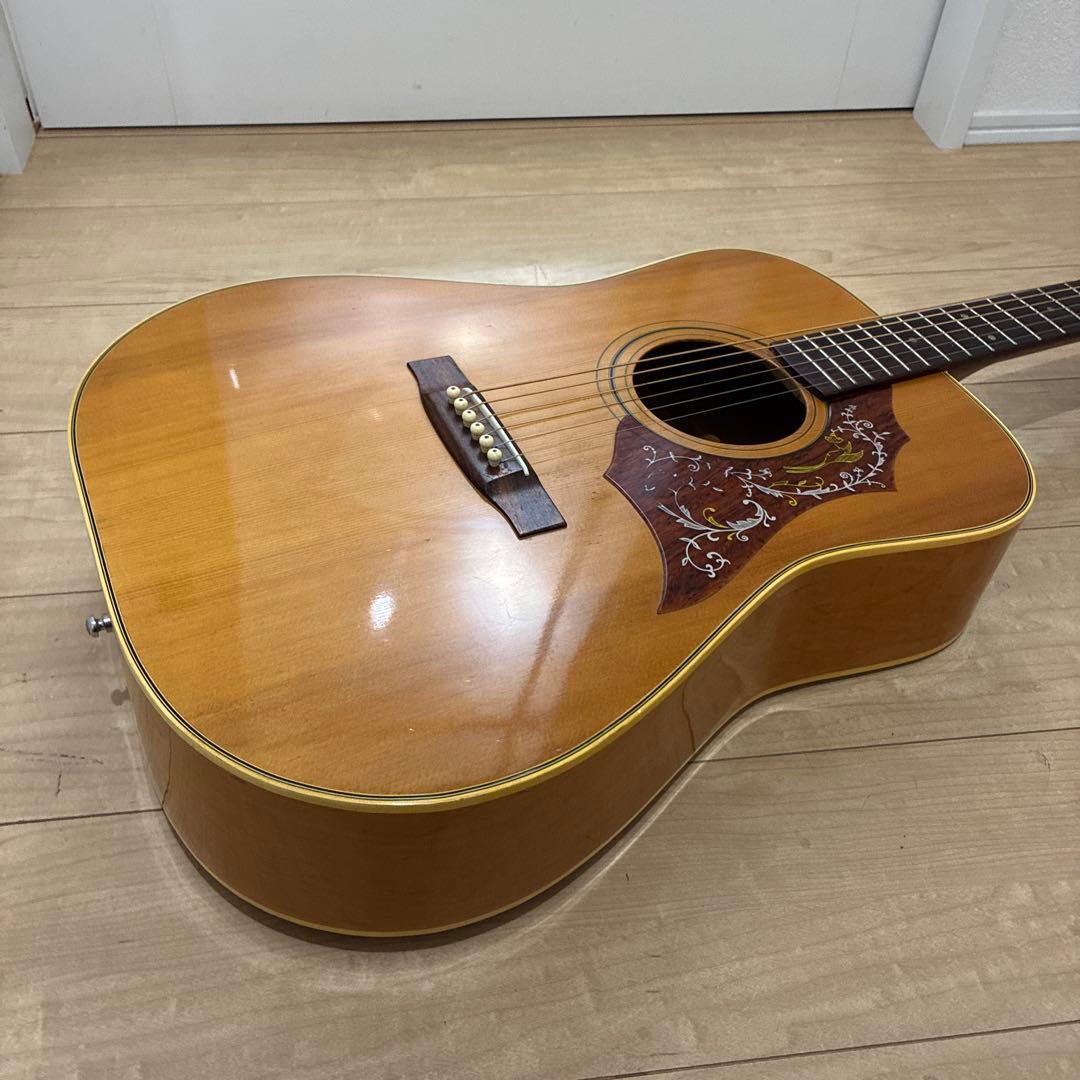 激レア　ZENON 全音　アコースティックギター　ハミングバードタイプ