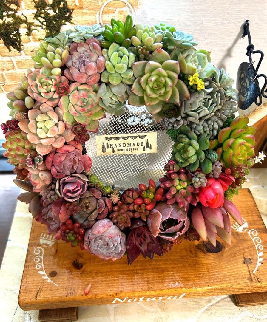 ❤️ Xmas SALE❤️多肉植物そのまま飾れる❤️多肉グラデーションリース❤️