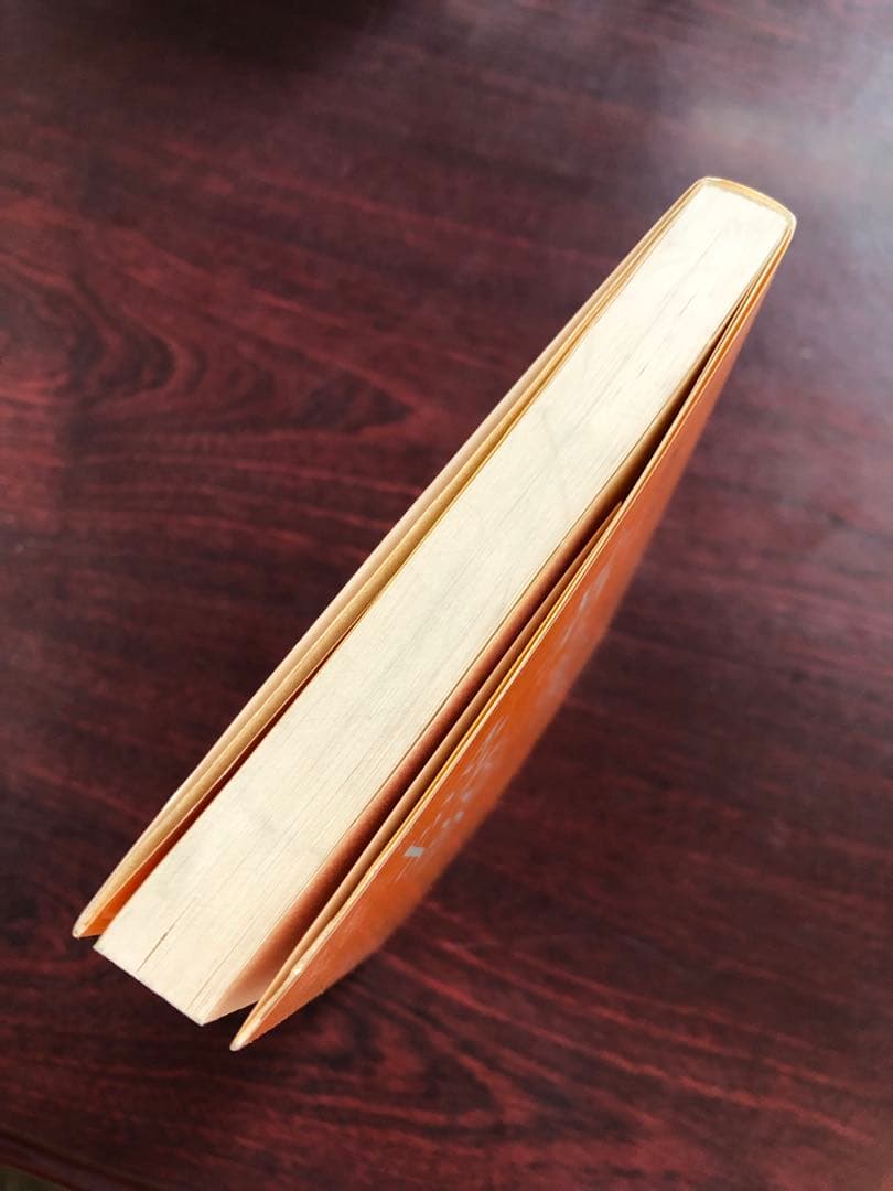 【超貴重】長岡文雄『考えあう授業』