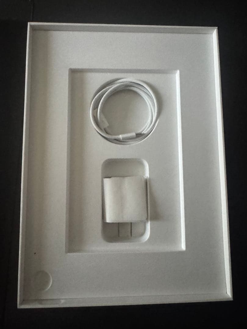 Apple iPad第10世代 ブルー 本体 ほぼ新品