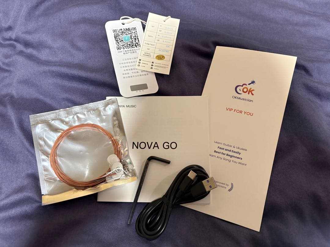 Enya Nova Go SP1 （エレアコ）