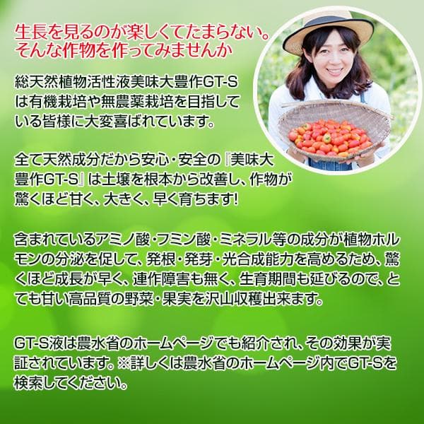 植物活力液 美味大豊作GT-S ２０リットル 作物が早く大きく育ち収穫量も増加！