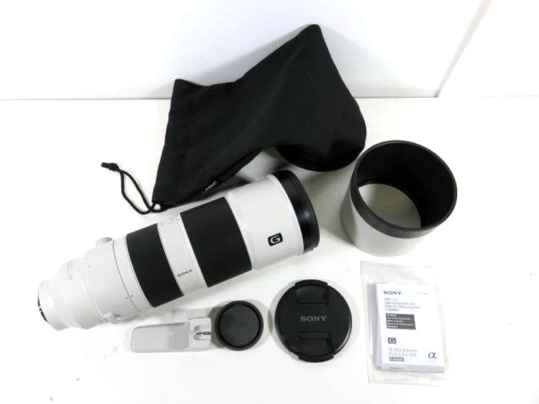 ソニー SEL200600G デジタル一眼カメラα[Eマウント]用レンズ