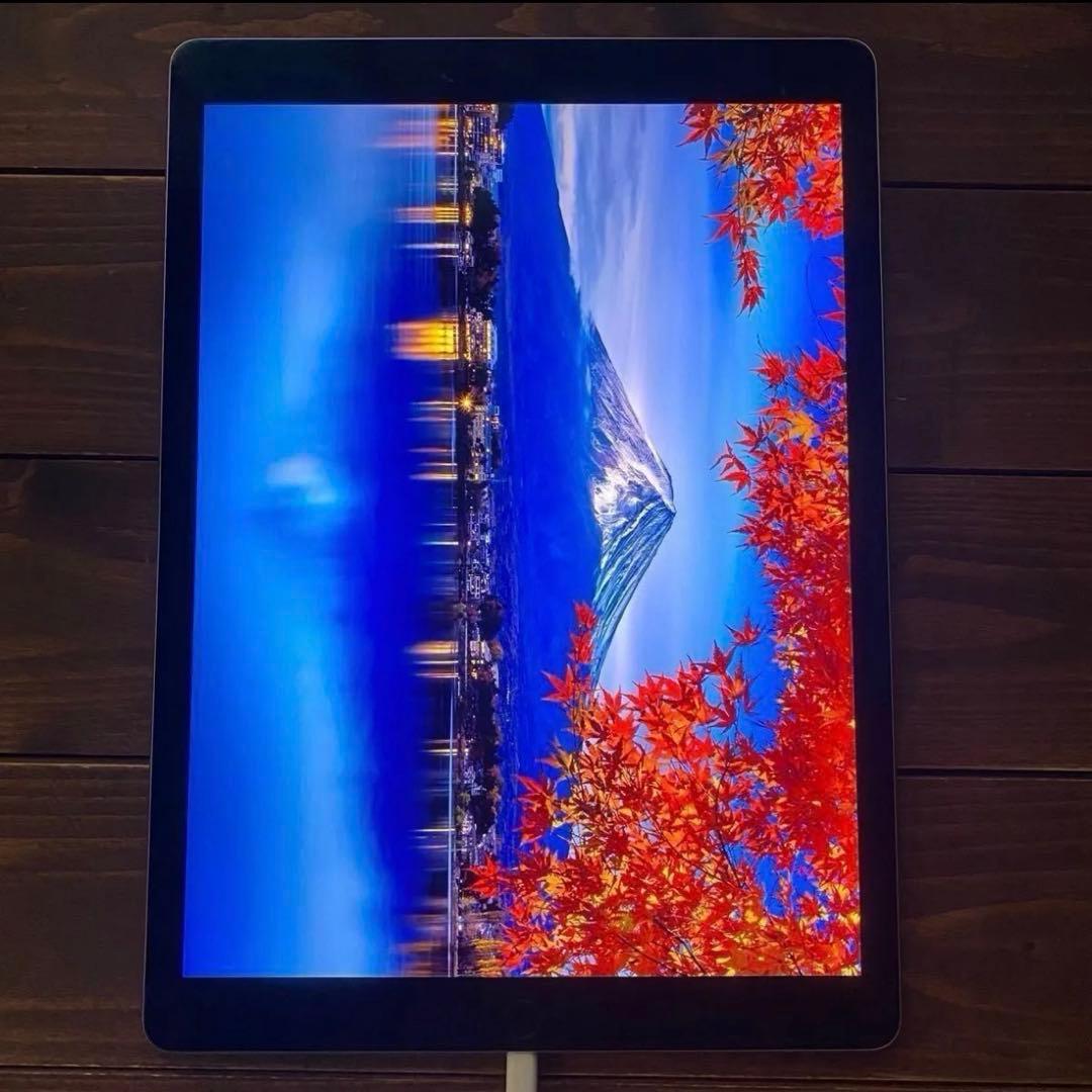 iPad Pro 12.9 インチ 第1世代 128GB wifi ジャンク
