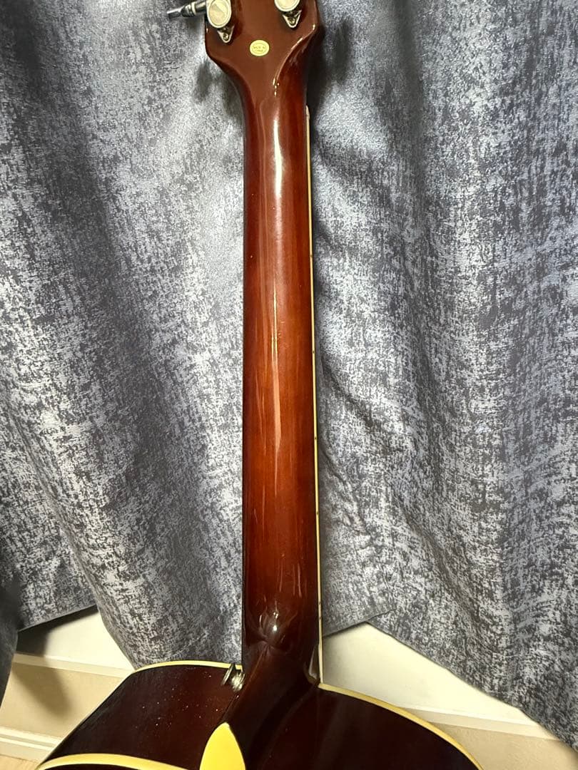 legend by aria レジェンド アコースティックギター FG-15N