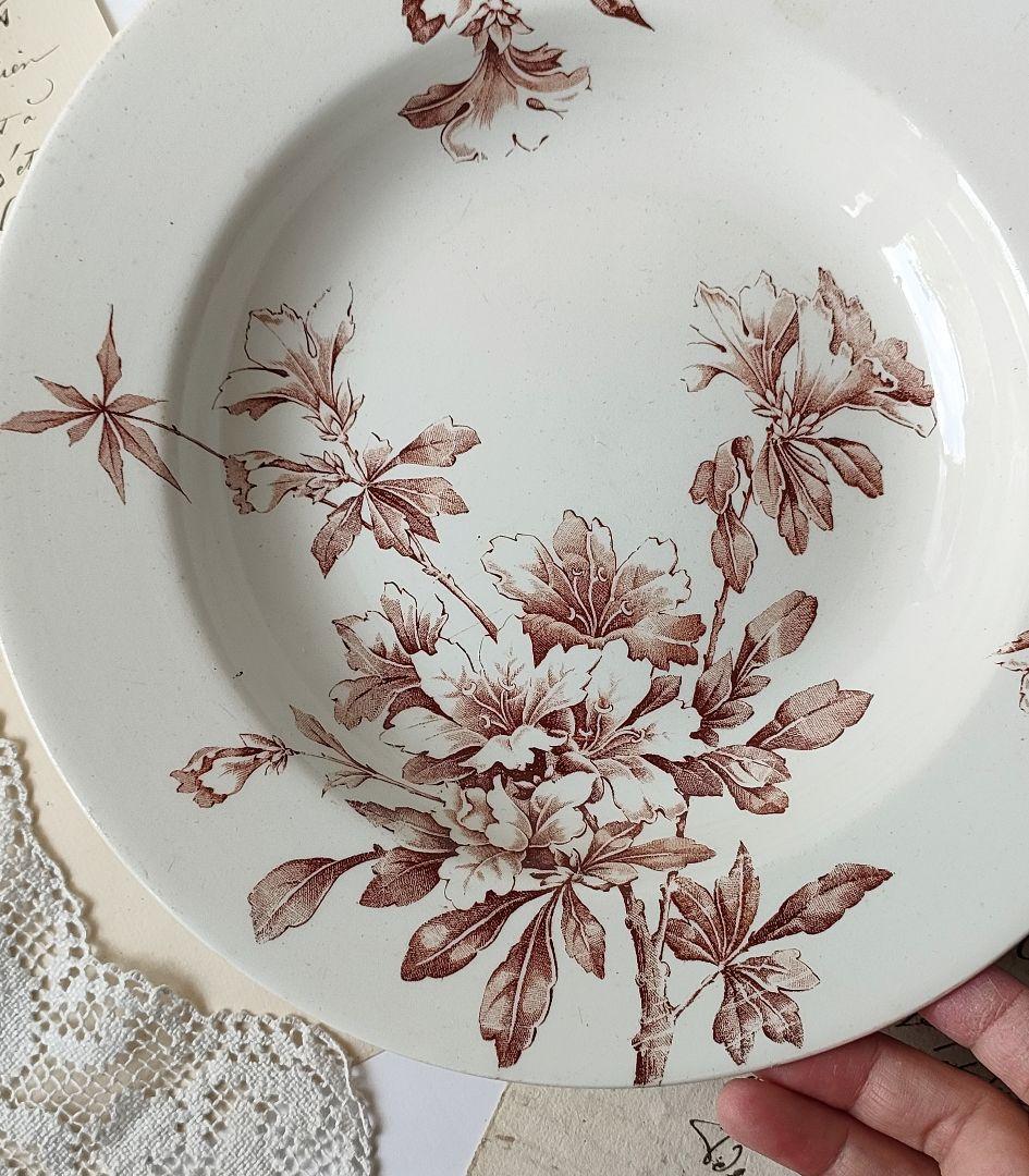 希少　美品　リュネビル　アザレア　深皿　フランスアンティーク