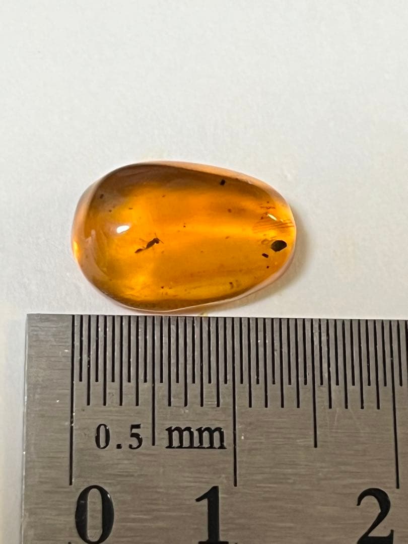 バルト海産　虫入り琥珀　12個セット　全て虫入り　本物保証　良いコンディション