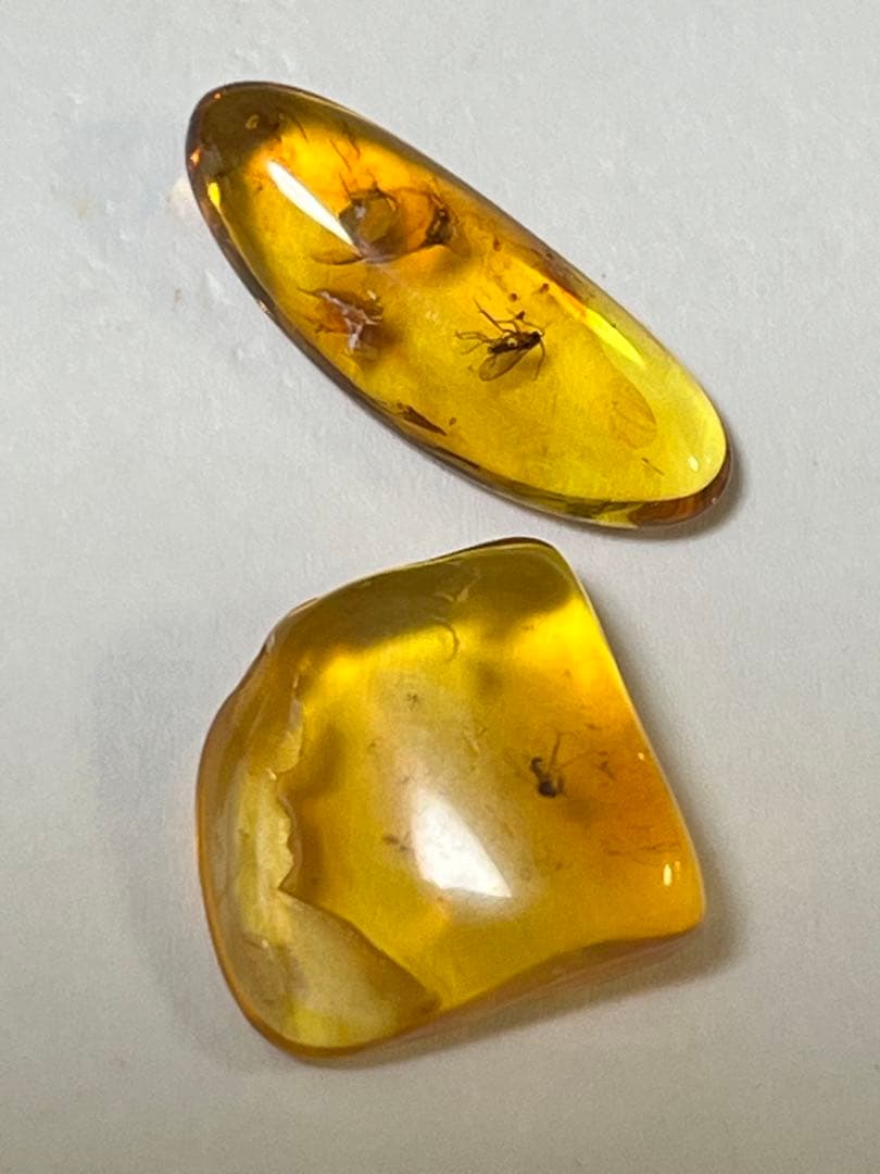 バルト海産　虫入り琥珀　12個セット　全て虫入り　本物保証　良いコンディション