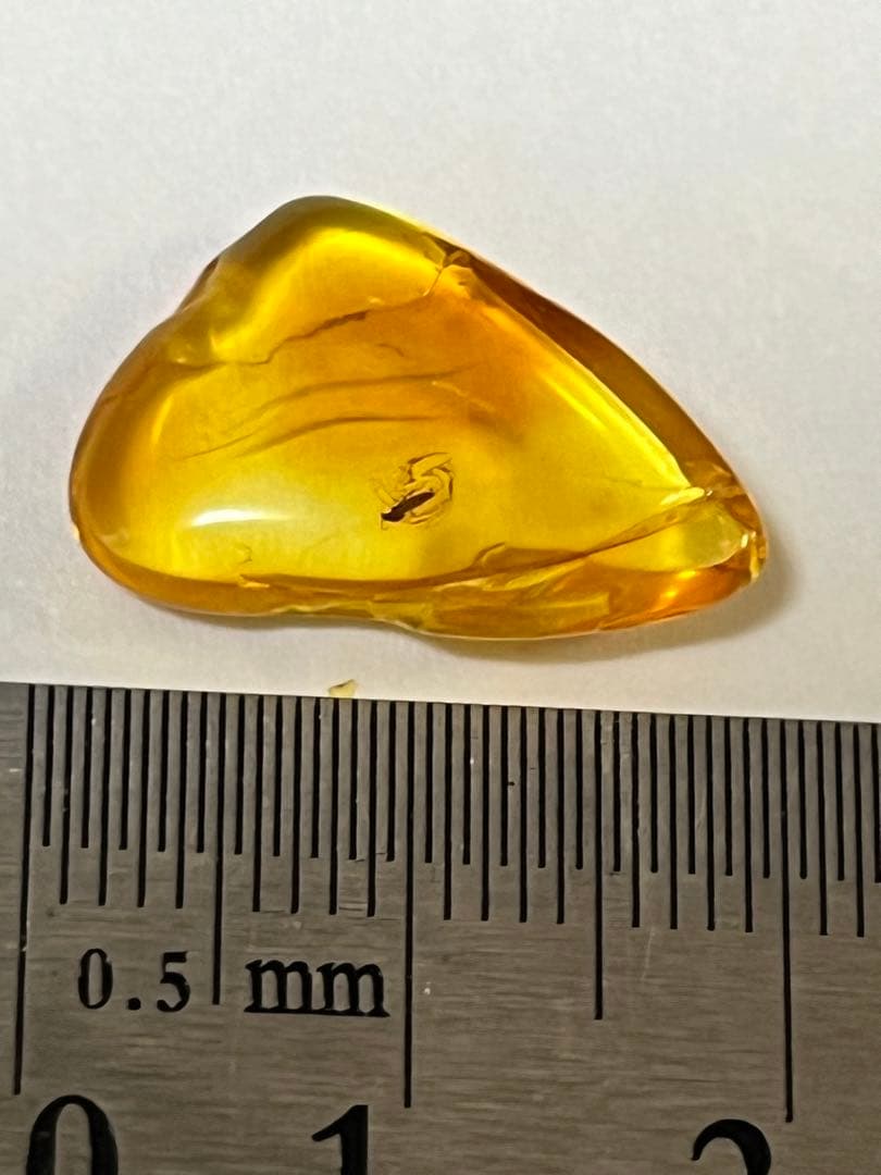 バルト海産　虫入り琥珀　12個セット　全て虫入り　本物保証　良いコンディション