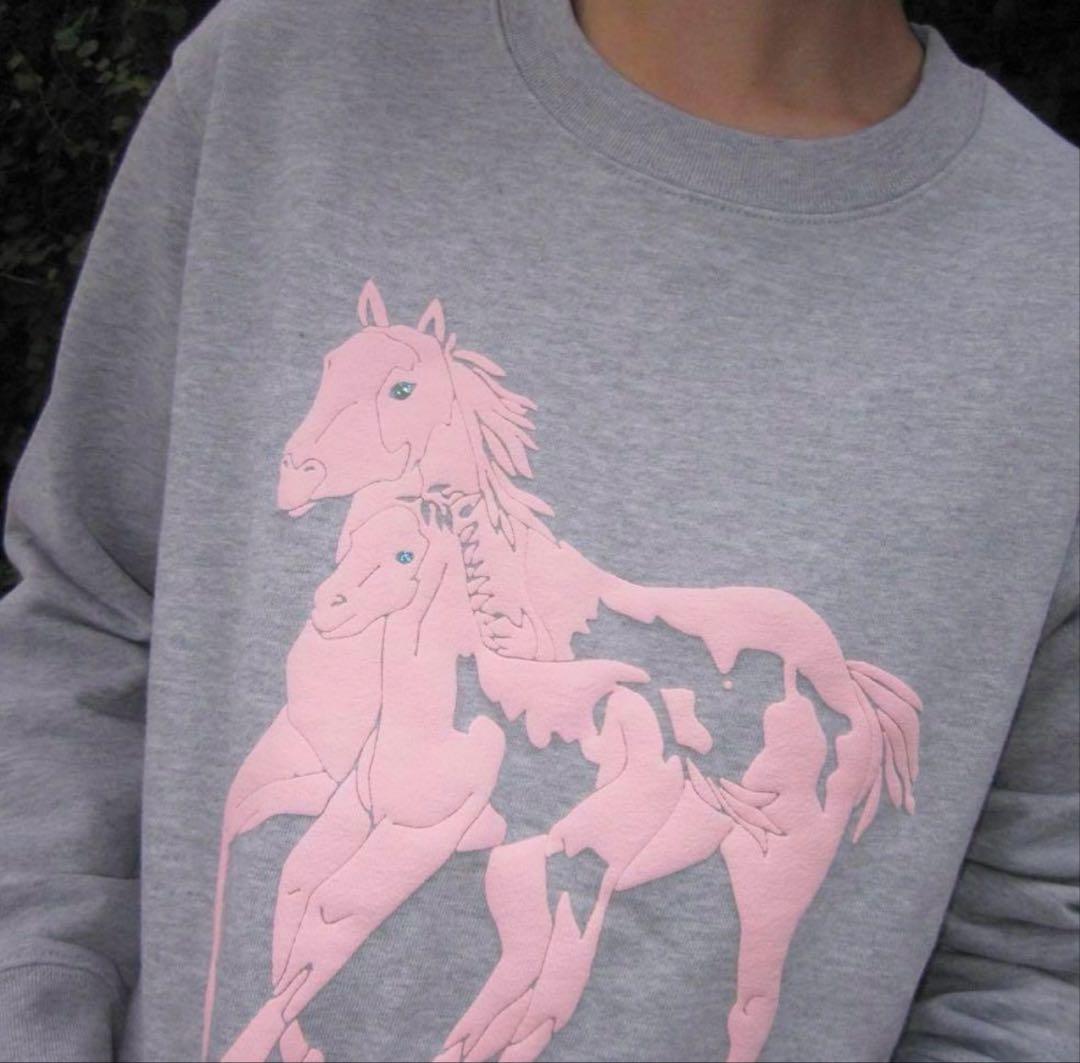 ★*様 Labyrins horse Sweat gray/pink
