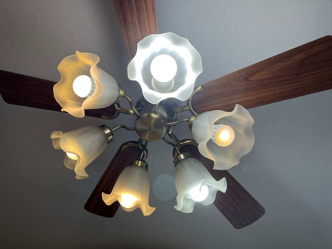 【交渉可/希少】KOIZUMI シーリングファン 6灯 BAE3602FRA