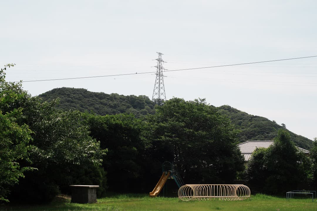 【美品】動作◎ オリンパス G.Zuiko auto 50mm F1.4 514