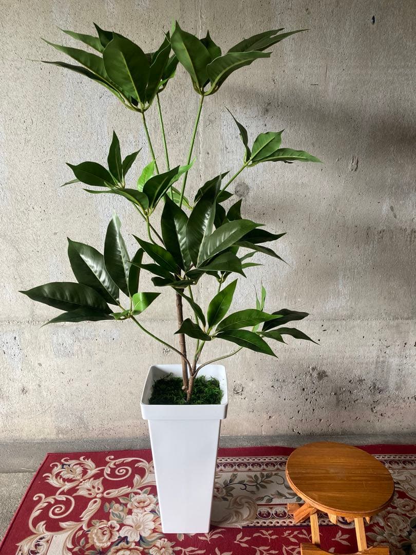 光触媒　人工観葉植物　ウォールグリーン　フェイクグリーン　ツピタンサス11
