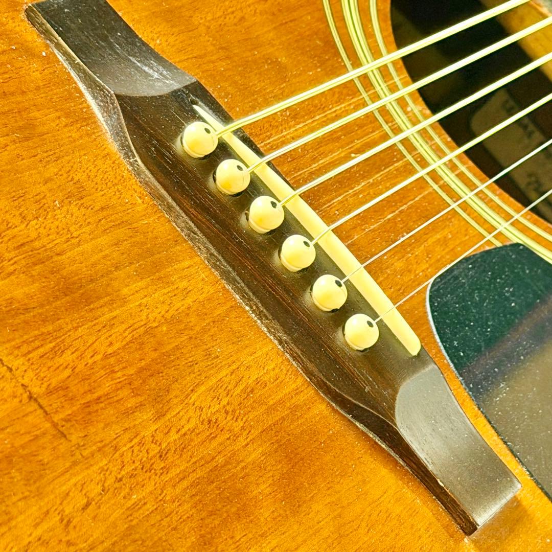 Takamine「TD23BR」アコースティックギター