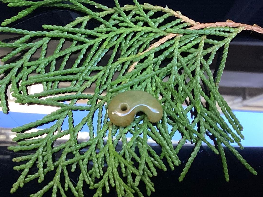 限定‼️超極上レア物✳一番数少ない幻の幸運の黄色‼️ 糸魚川翡翠勾玉　鑑別無しの安価