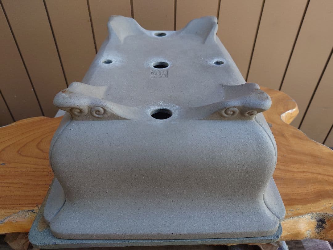 盆栽　鉢　佳山　幅48.5cm