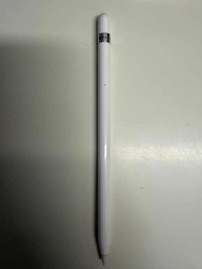 iPad mini 第5世代 256GB Cellular モデル ※ペン付き