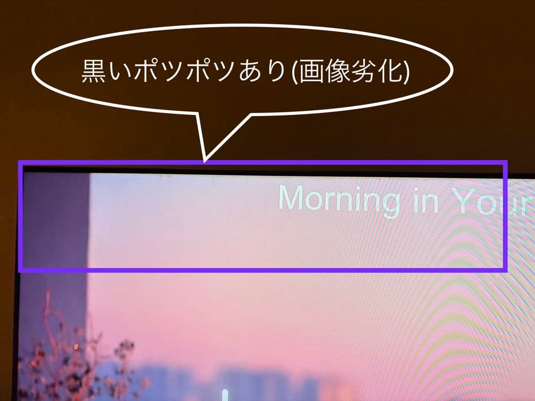東芝　REGZA　4K有機ELテレビ　 21年 タイムシフトマシン搭載