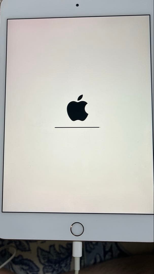 【ジャンク】Apple iPad mini (第5世代) 256GB