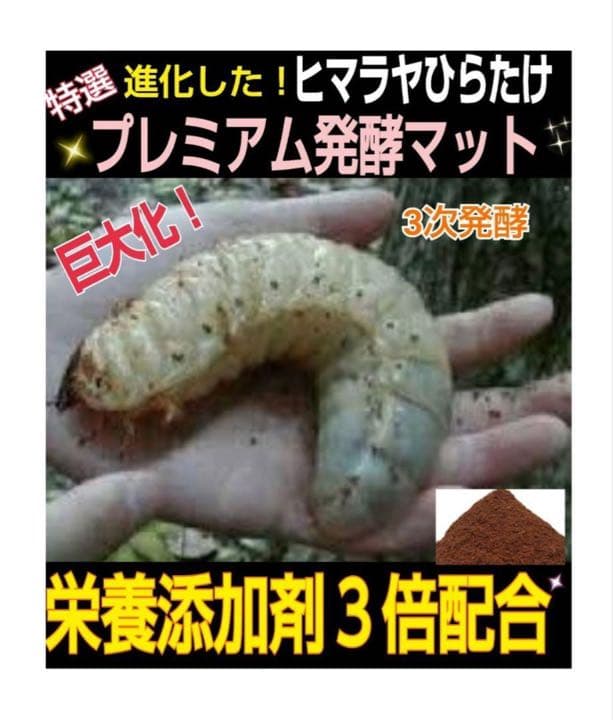 大人気！雑虫がわかない！完全室内製造！極上！プレミアム発酵カブトムシマット　6袋