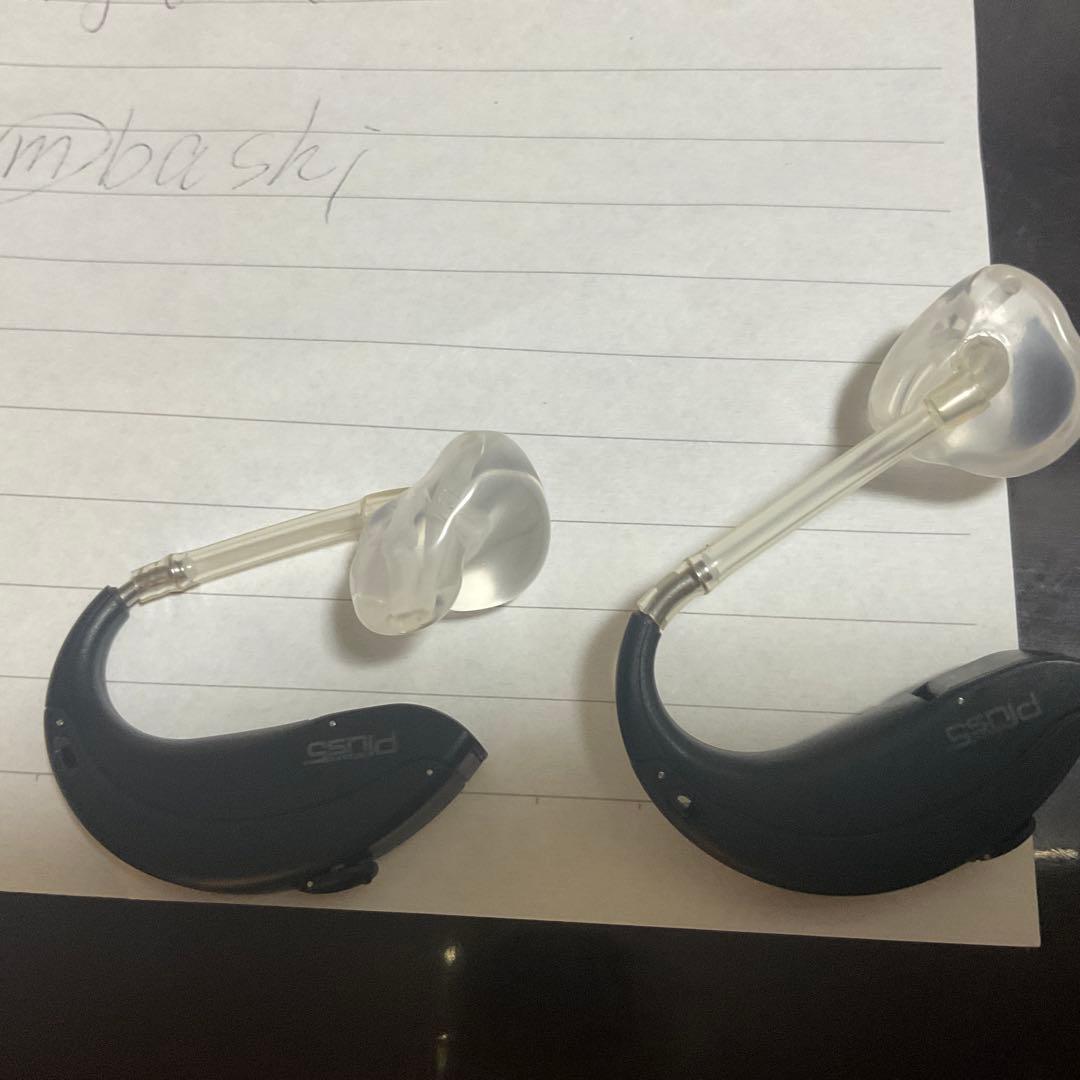 Pures イヤホン ブラック DS-2乾燥剤付き