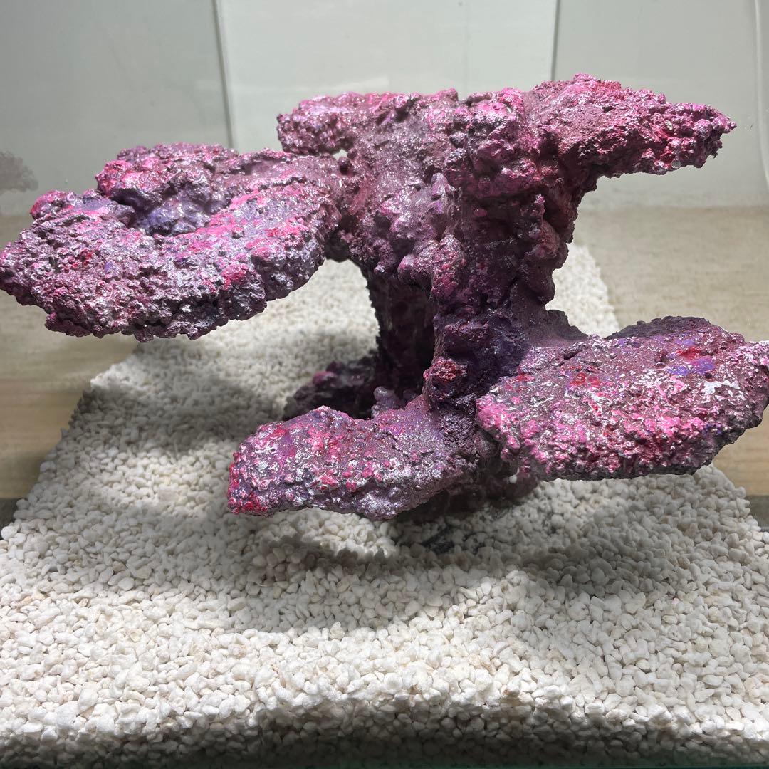 現物在庫SALE‼︎人工ライブロック　SHR23 アク抜き済み安心塗料使用