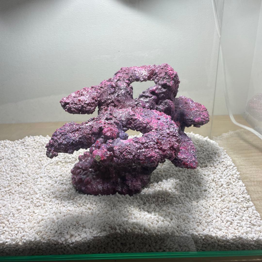 現物在庫SALE‼︎人工ライブロック　SHR23 アク抜き済み安心塗料使用