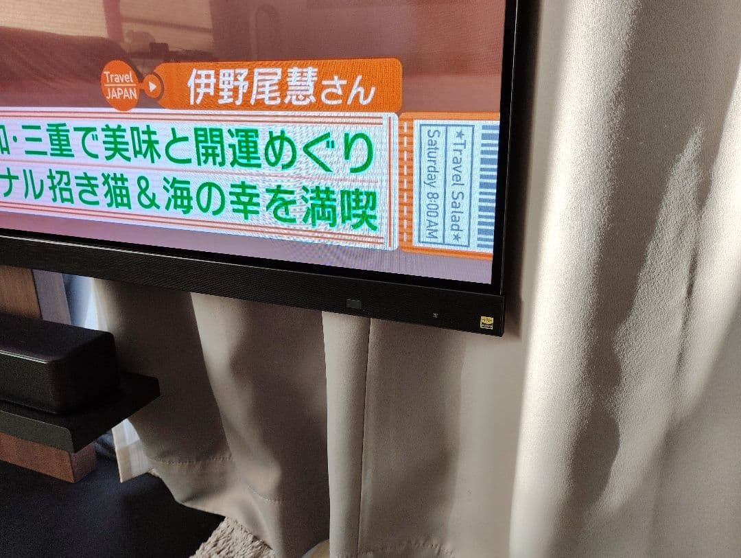 REGZA レクザ 有機ELテレビ 65X9900M 4K 東芝