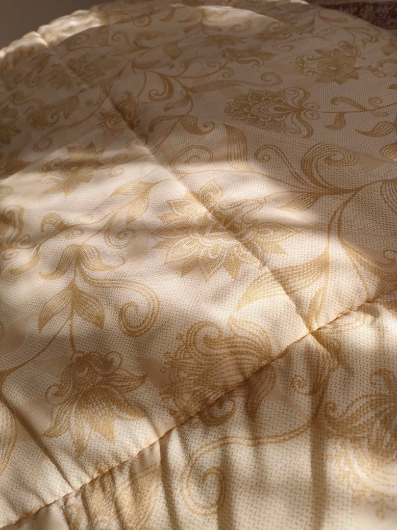 ミキグク　　シングル1.7kg 2枚