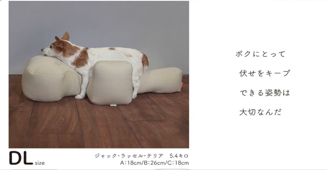 OneAid リラクッションDL