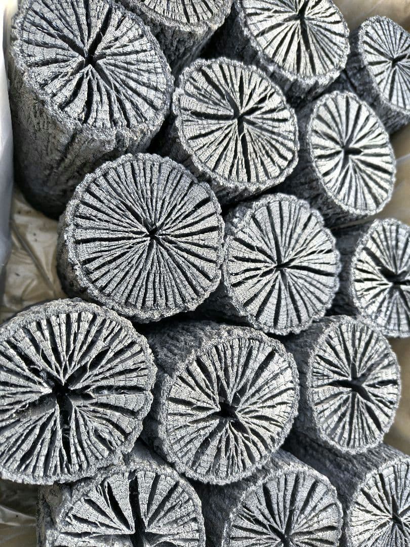 【愛媛産】クヌギ炉用　太め胴炭15本
